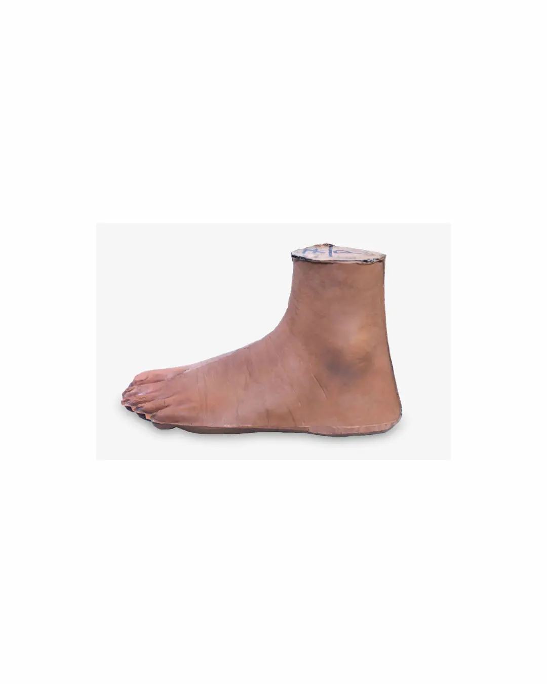 Jaipur Foot